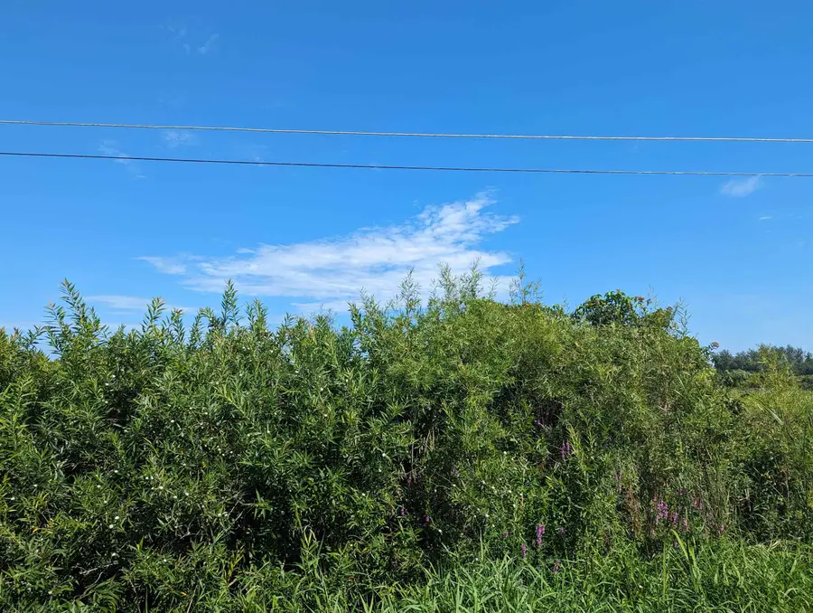 0 S Court, Au Gres, MI 48703 - Image #3