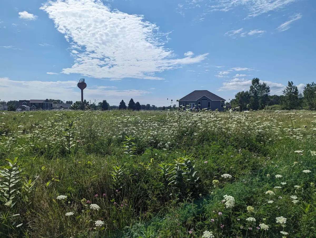 0 S Court, Au Gres, MI 48703 - #1