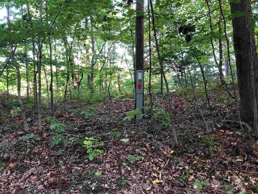 LOT 122 Crystal Downs, Frankfort, MI 49635 - #3