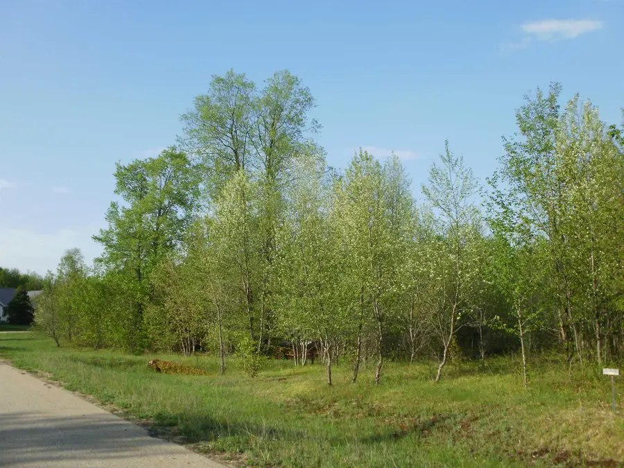 Lot 6 Spring Valley, Cadillac, MI 49601 - Image #2