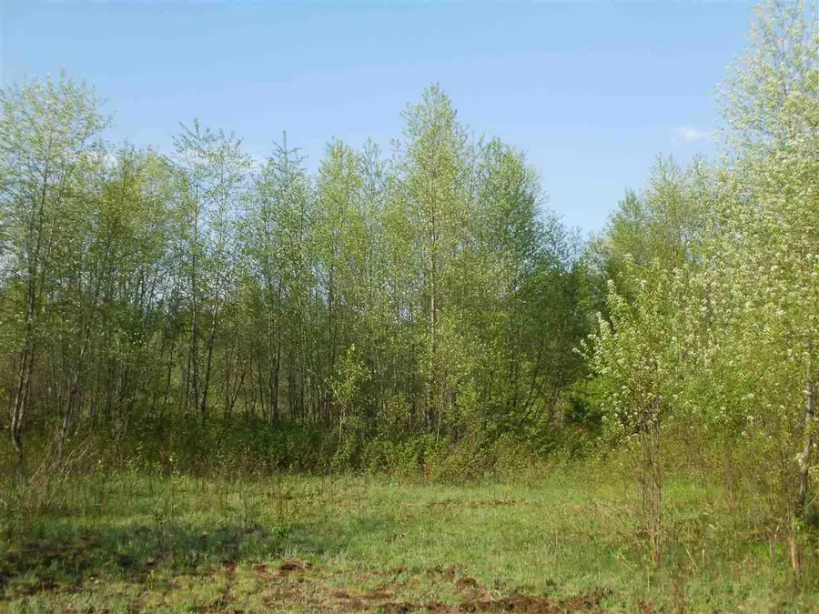 Lot 7 Spring Valley, Cadillac, MI 49601 - #3