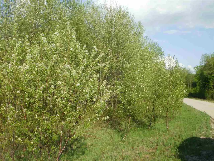 Lot 30 Spring Valley, Cadillac, MI 49601 - Image #2