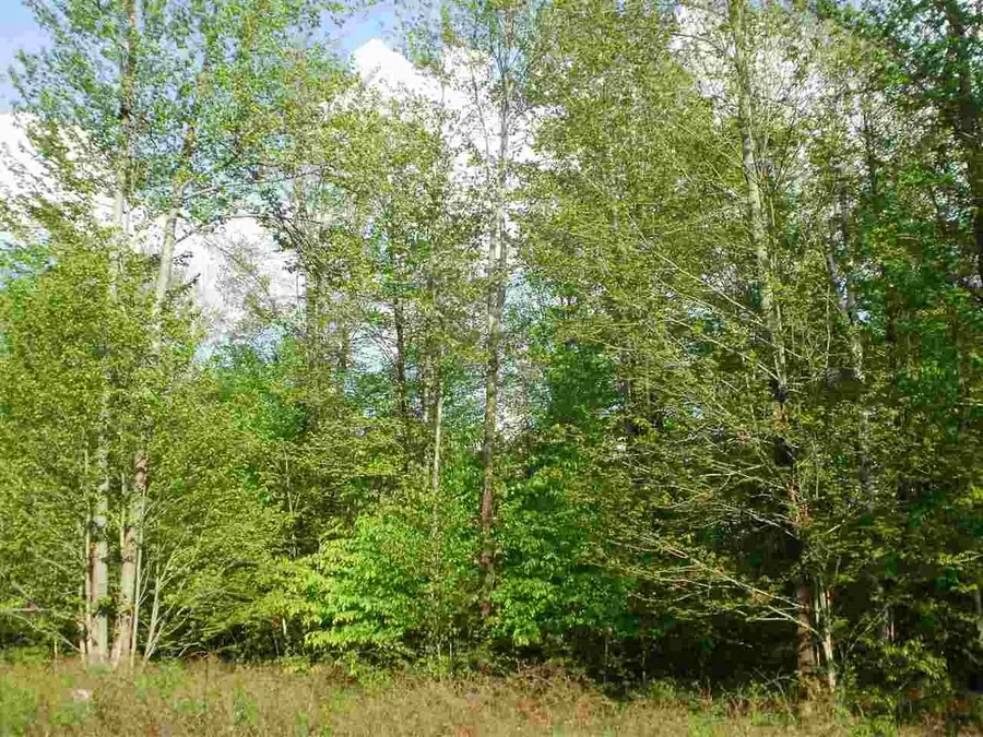 Lot 31 Spring Valley, Cadillac, MI 49601 - Image #2