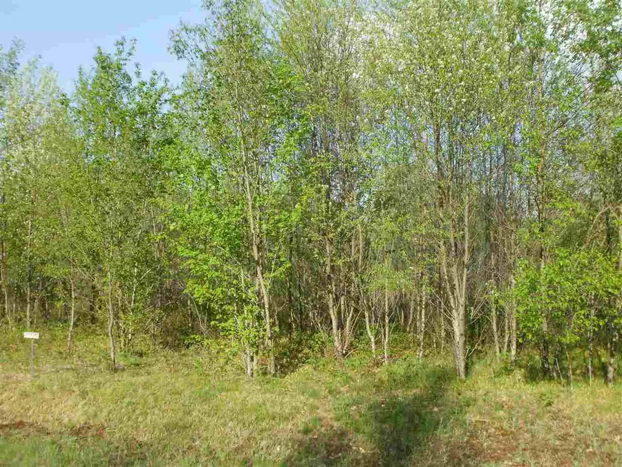 Lot 37 Sweetwater, Cadillac, MI 49601 - #3