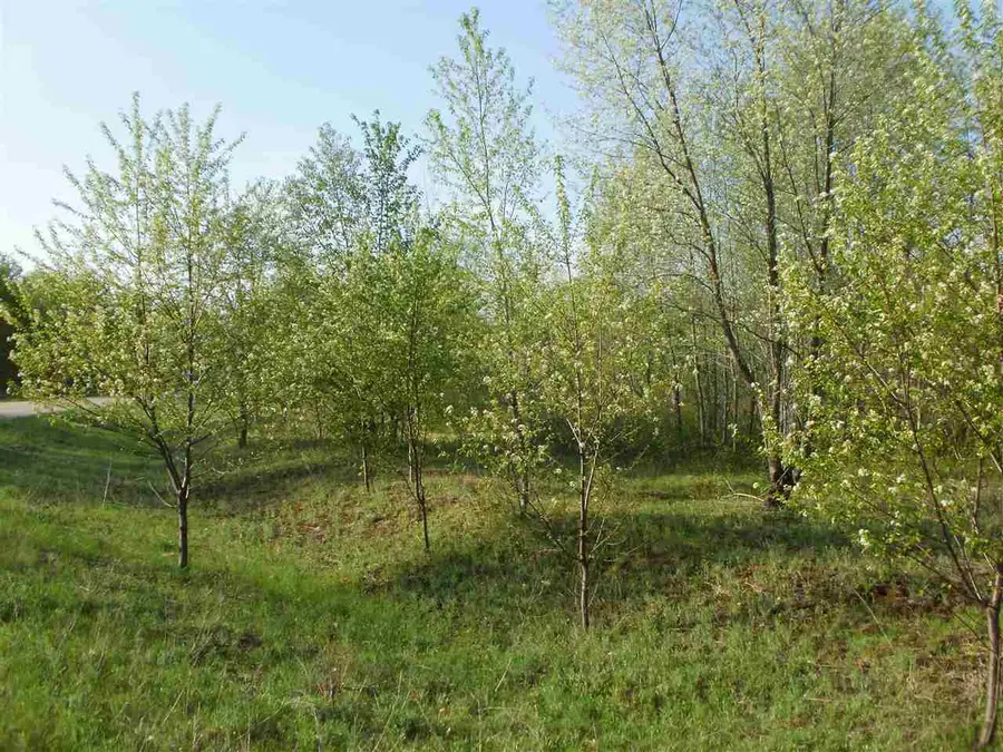 Lot 47 Sweetwater, Cadillac, MI 49601 - Image #3