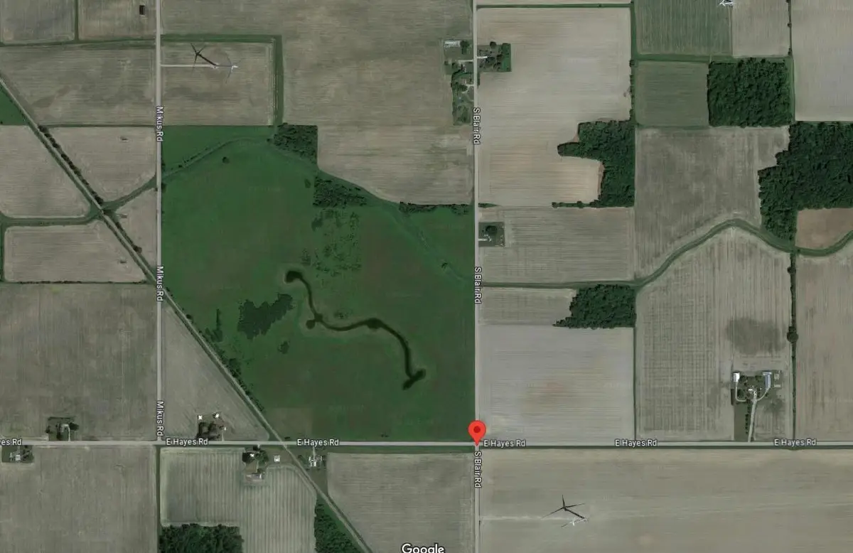 TBD S Blair, North Star, MI 48847 - Image #1