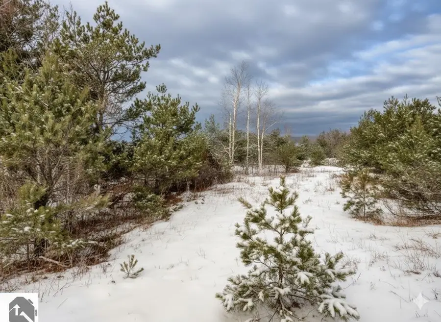 Parcel N 2 1/2, Buckley, MI 49620 - Image #3