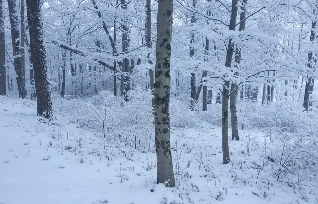 4169 Maple Hill, Grawn, MI 49637 - Image #1