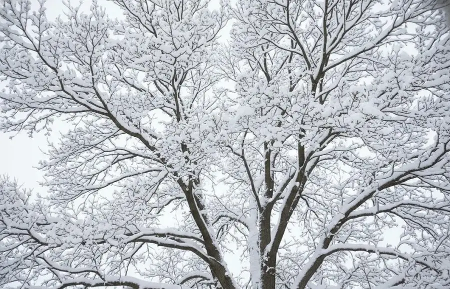 4169 Maple Hill, Grawn, MI 49637 - Image #3