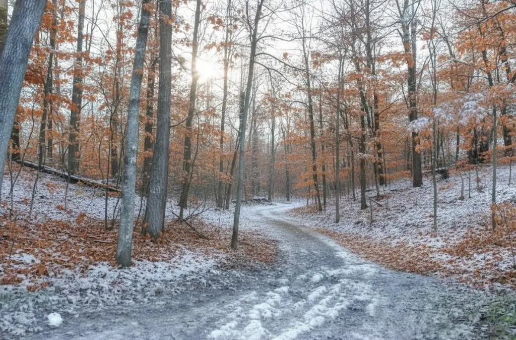 4167 Maple Hill, Grawn, MI 49637 - #1