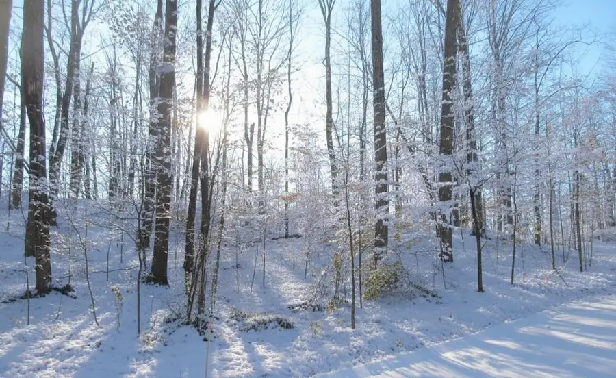 4167 Maple Hill, Grawn, MI 49637 - #2