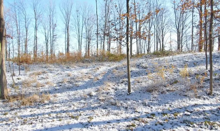 4167 Maple Hill, Grawn, MI 49637 - #3