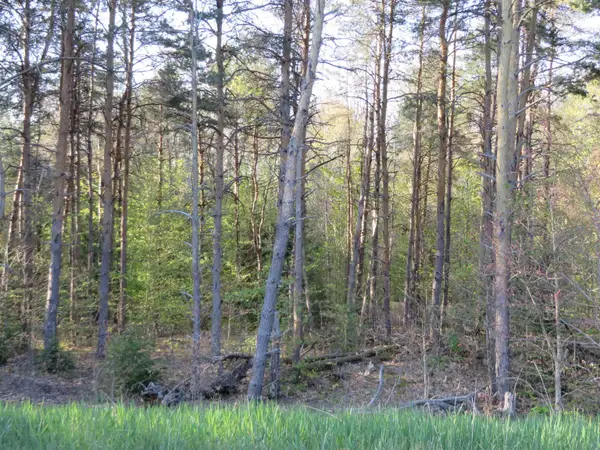 4181 Maple Hill, Grawn, MI 49637