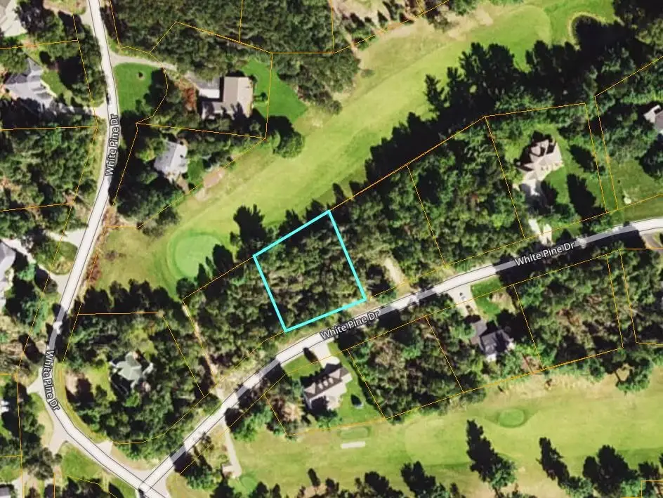 Lot 29 White Pine, Cadillac, MI 49601 - #1