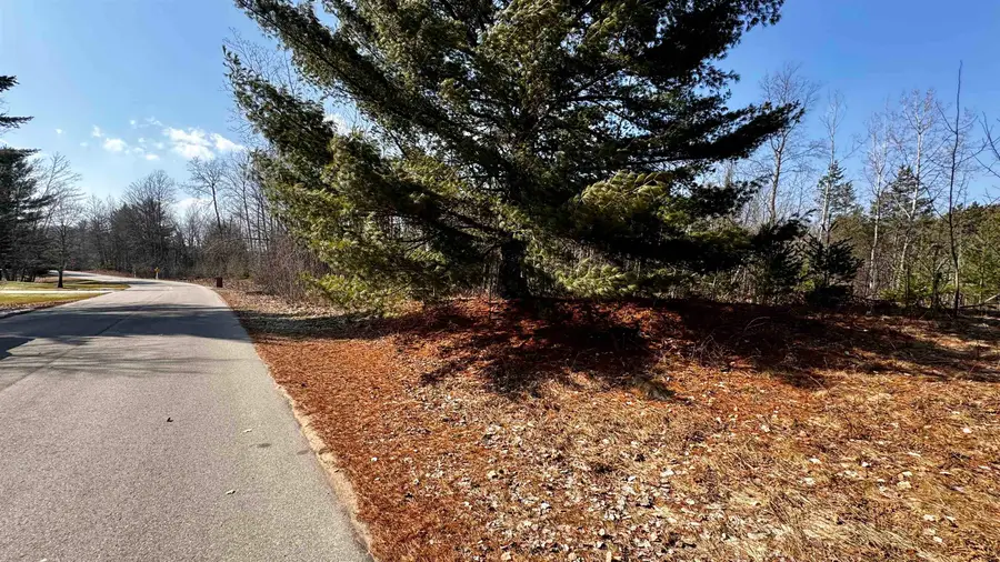 Lot 29 White Pine, Cadillac, MI 49601 - #2