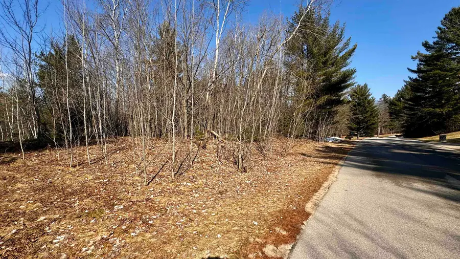 Lot 29 White Pine, Cadillac, MI 49601 - #3