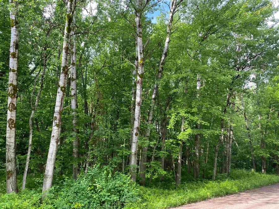 15991 Bentley, Thompsonville, MI 49683 - Image #2