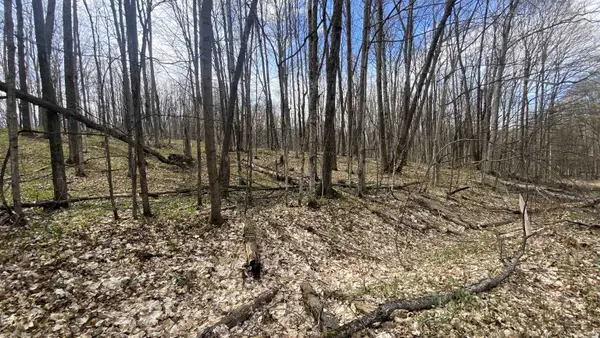 Lots 292-293 Jaeger Strasse, Bellaire, MI 49615