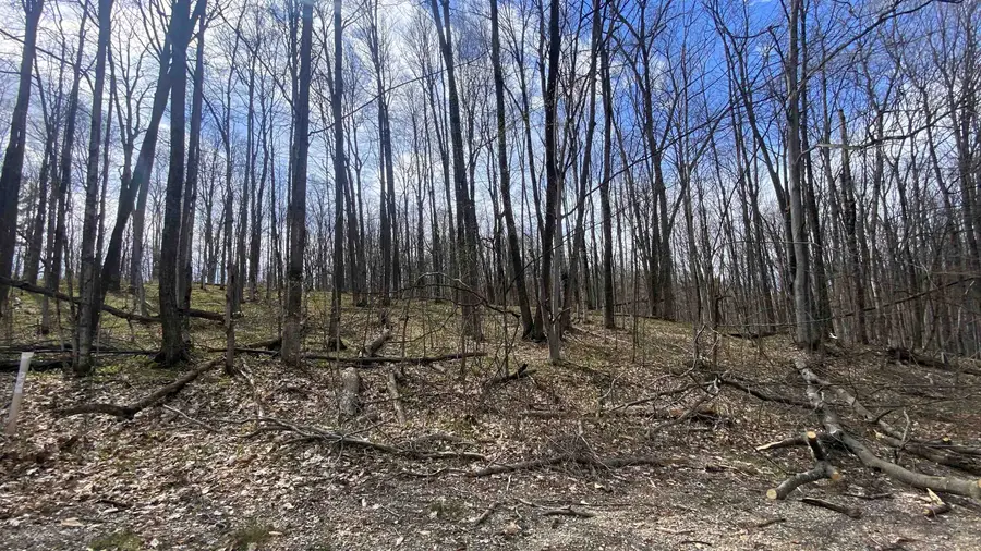 Lots 292-293 Jaeger Strasse, Bellaire, MI 49615 - #3