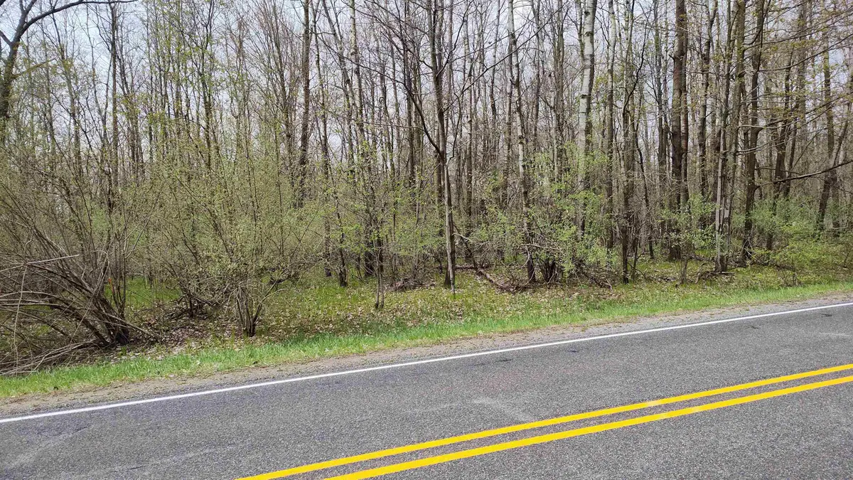 1150 Queensway, Lake Isabella, MI 48893 - #1
