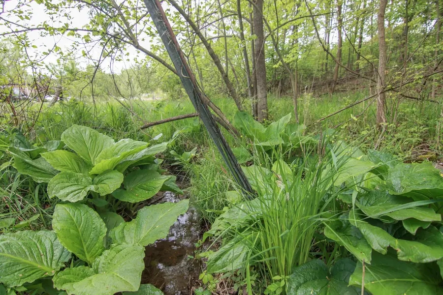 00-Lot 128 Ledgewood, Fenton, MI 48430 - Image #2