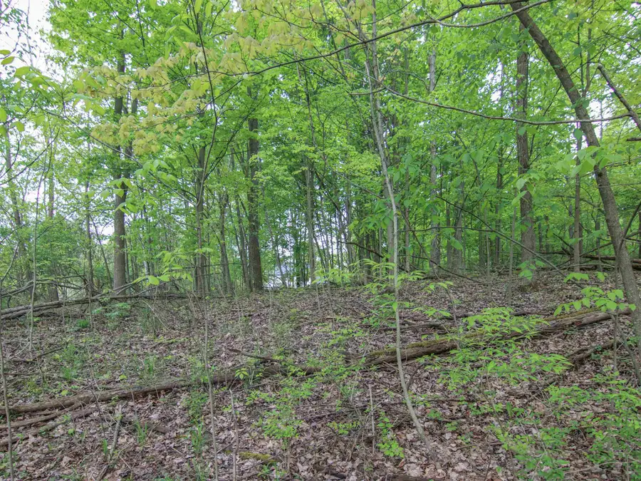 00-Lot 128 Ledgewood, Fenton, MI 48430 - Image #3