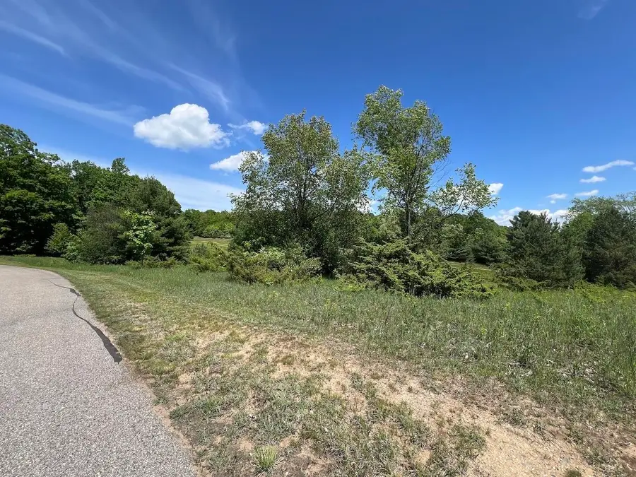 Unit 41 Talon, Bellaire, MI 49615 - #3