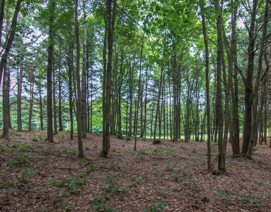 0000-Unit 39 Trailside, Thompsonville, MI 49683 - Image #3