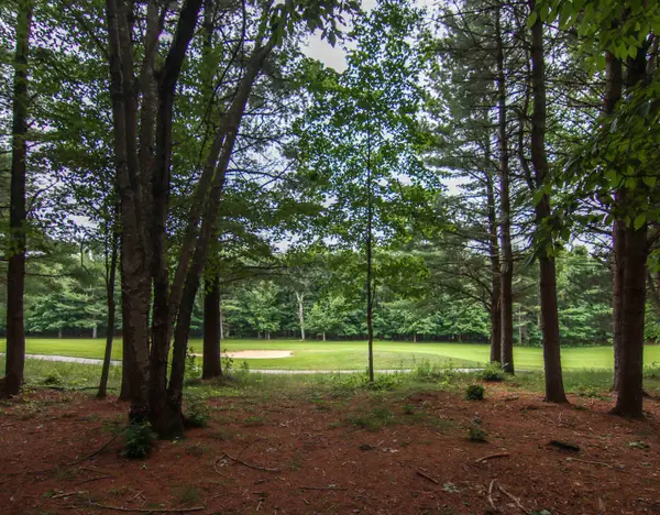 0000-Unit 40 Trailside, Thompsonville, MI 49683