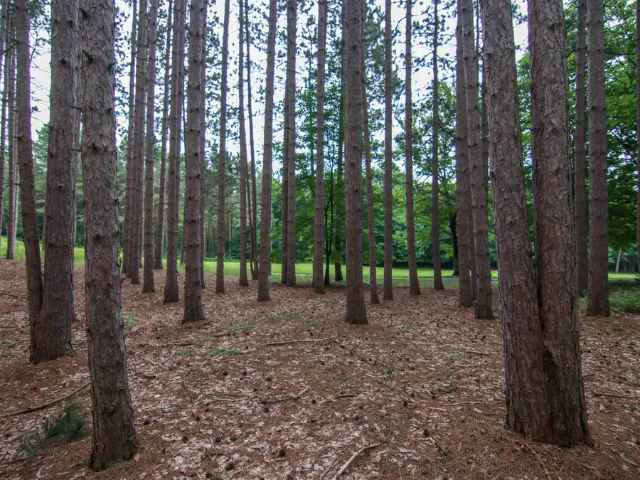 0000-Unit 42 Trailside, Thompsonville, MI 49683 - #3