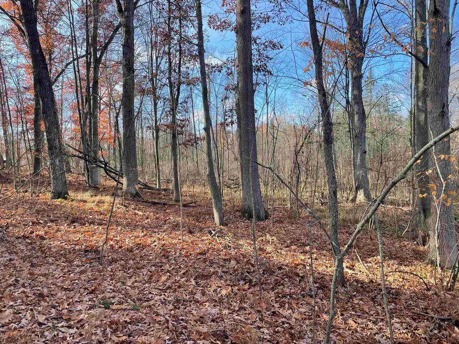 0 First, Prescott, MI 48756 - Image #2