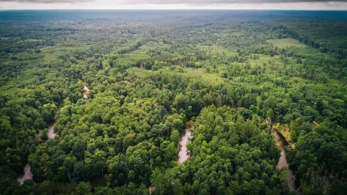 TBD W Wingleton, Baldwin, MI 49304 - Image #1