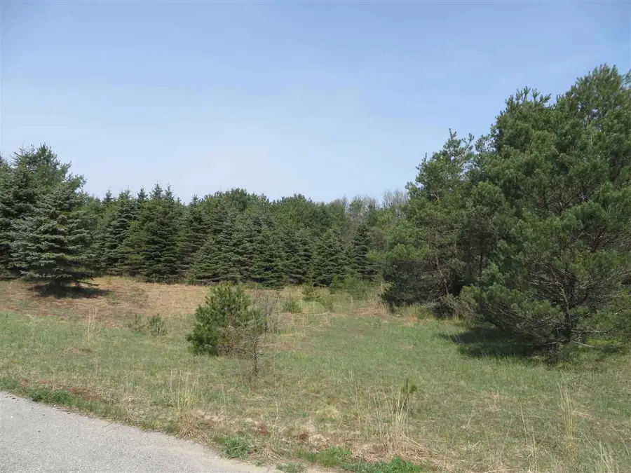 4 Spruce Hollow, Fife Lake, MI 49633 - Image #3