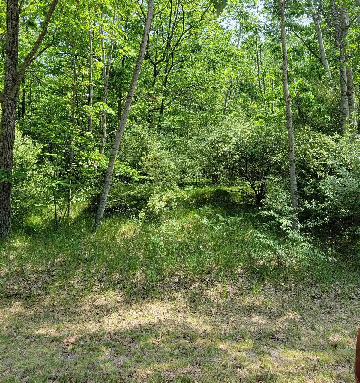 1144 Queensway, Lake Isabella, MI 48893 - #1