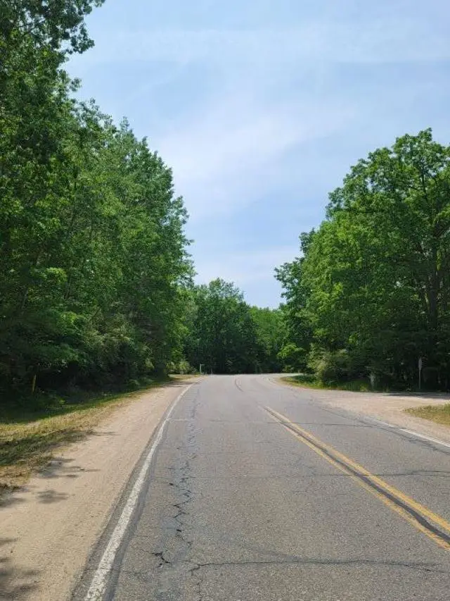 1144 Queensway, Lake Isabella, MI 48893 - #3