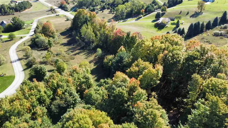 0 Palaestrum, Williamsburg, MI 49690 - #3