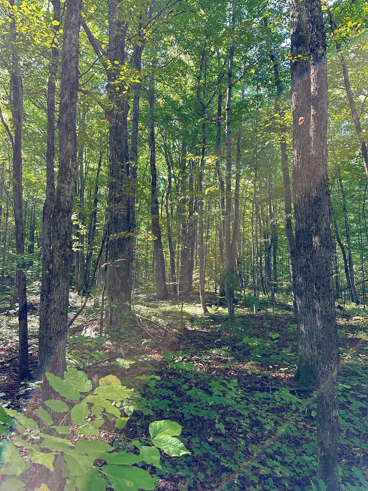 000 Woodland Drive Ne, Kalkaska, MI 49646 - Image #1