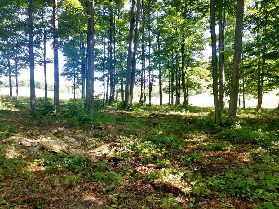 008 Heather Ridge, Beulah, MI 49617 - #3