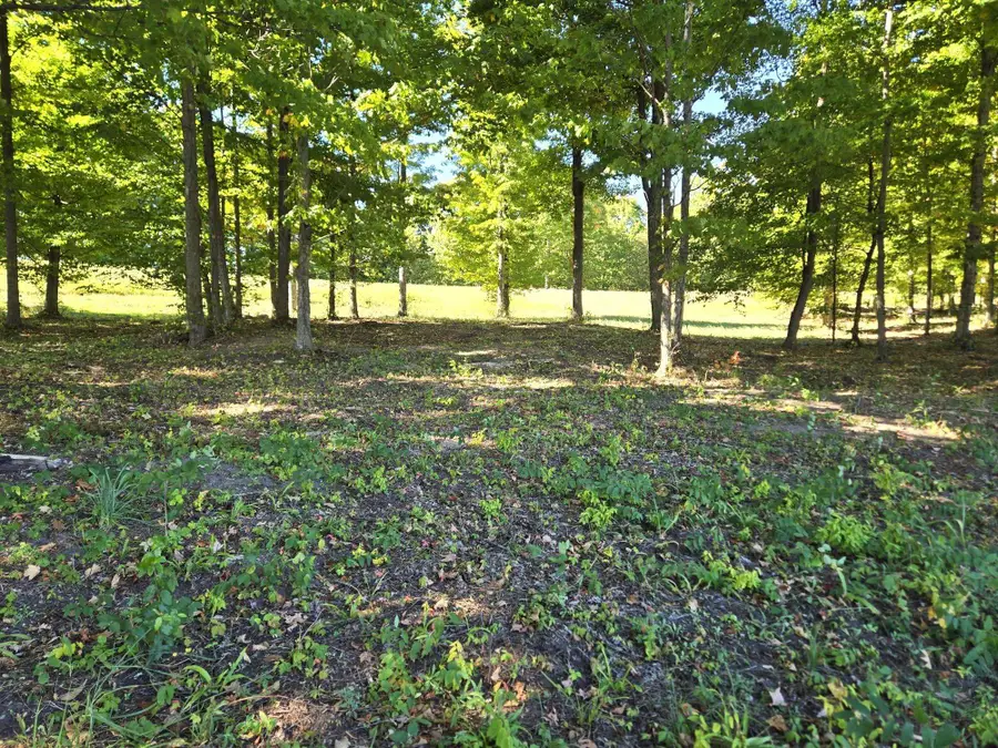 0019 Heather Ridge, Beulah, MI 49617 - Image #3