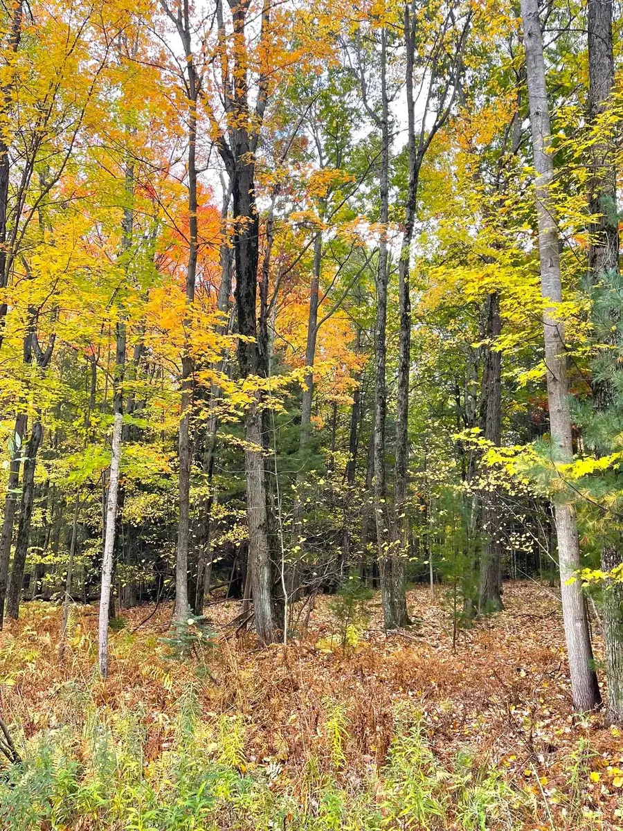 TBD Hilltop, Mount Pleasant, MI 48858 - #3