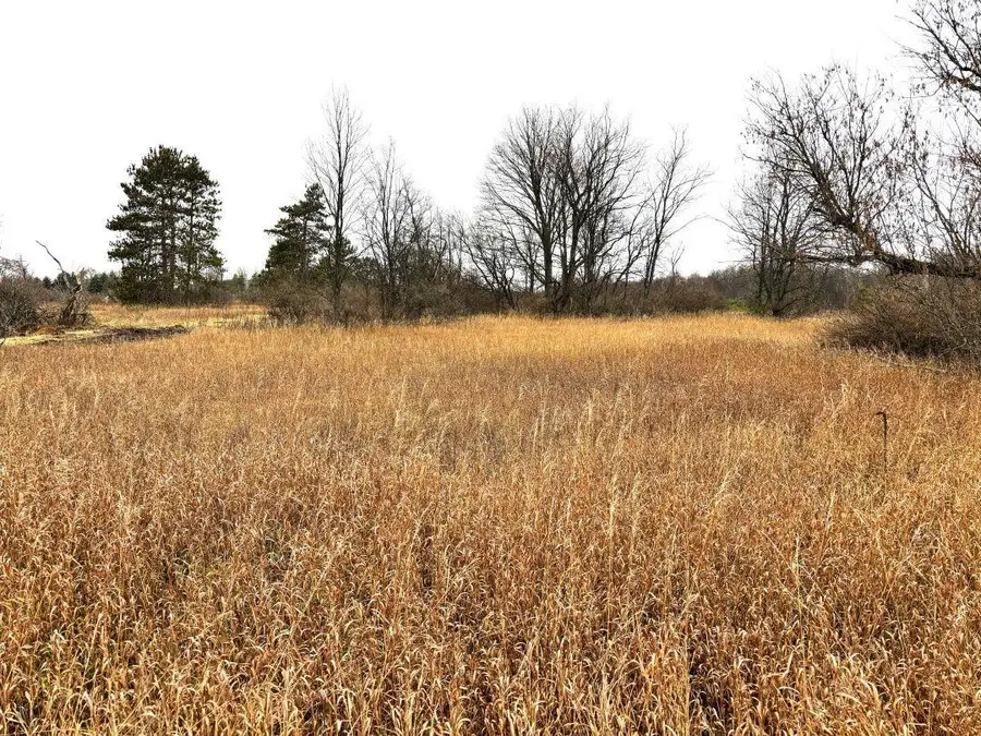 Unit 7 North, Thompsonville, MI 49683 - #2