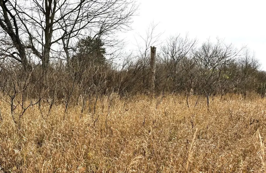 Unit 9 North, Thompsonville, MI 49683 - Image #2