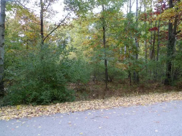 1013 & 1015 Granada, Lake Isabella, MI 48893