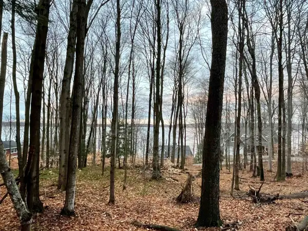 00 Treetops, Frankfort, MI 49635