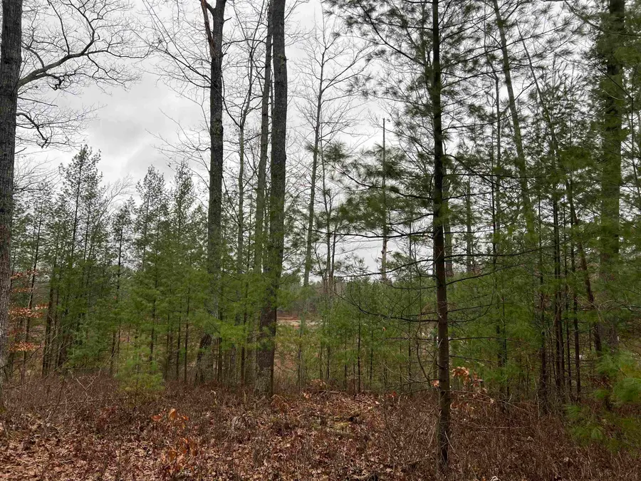 0100 Grand Kal, Fife Lake, MI 49633 - #3