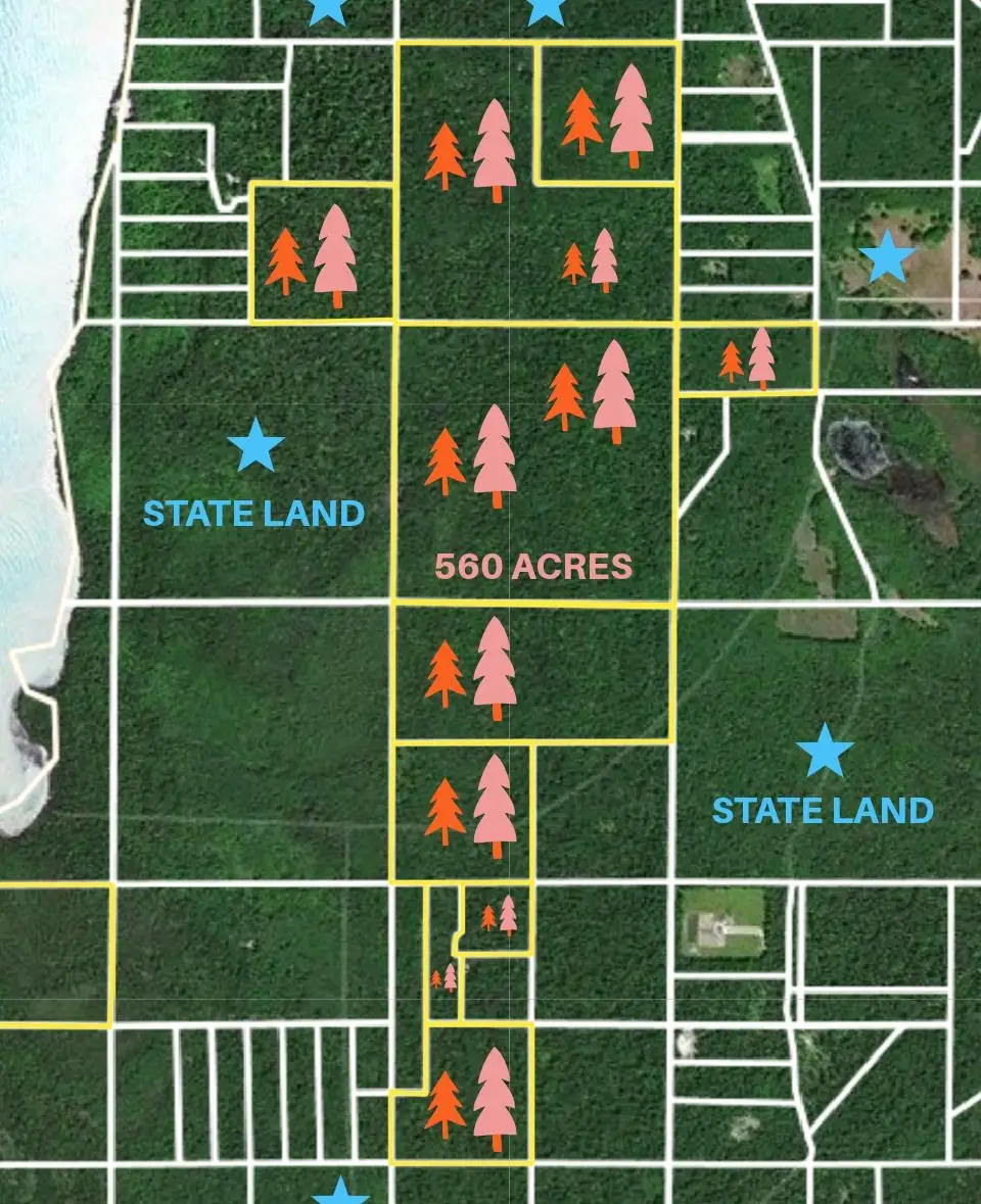 TBD Beaver Island, Beaver Island, MI 49782 - Image #1