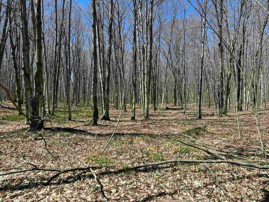 TBD Beaver Island, Beaver Island, MI 49782 - Image #3