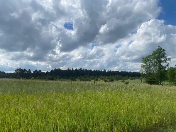 E 40, Cadillac, MI 49601