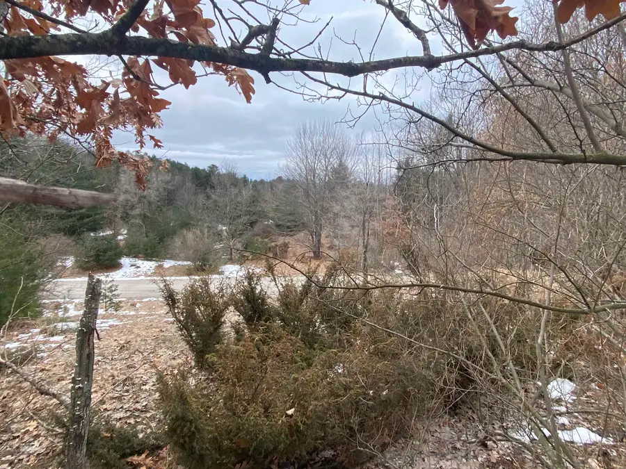 Lot 33 Scenic Hills, Williamsburg, MI 49690 - Image #3