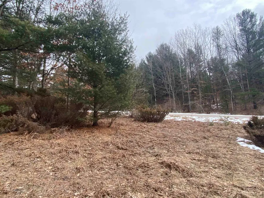 Lot 35 Scenic Hills, Williamsburg, MI 49690 - Image #2